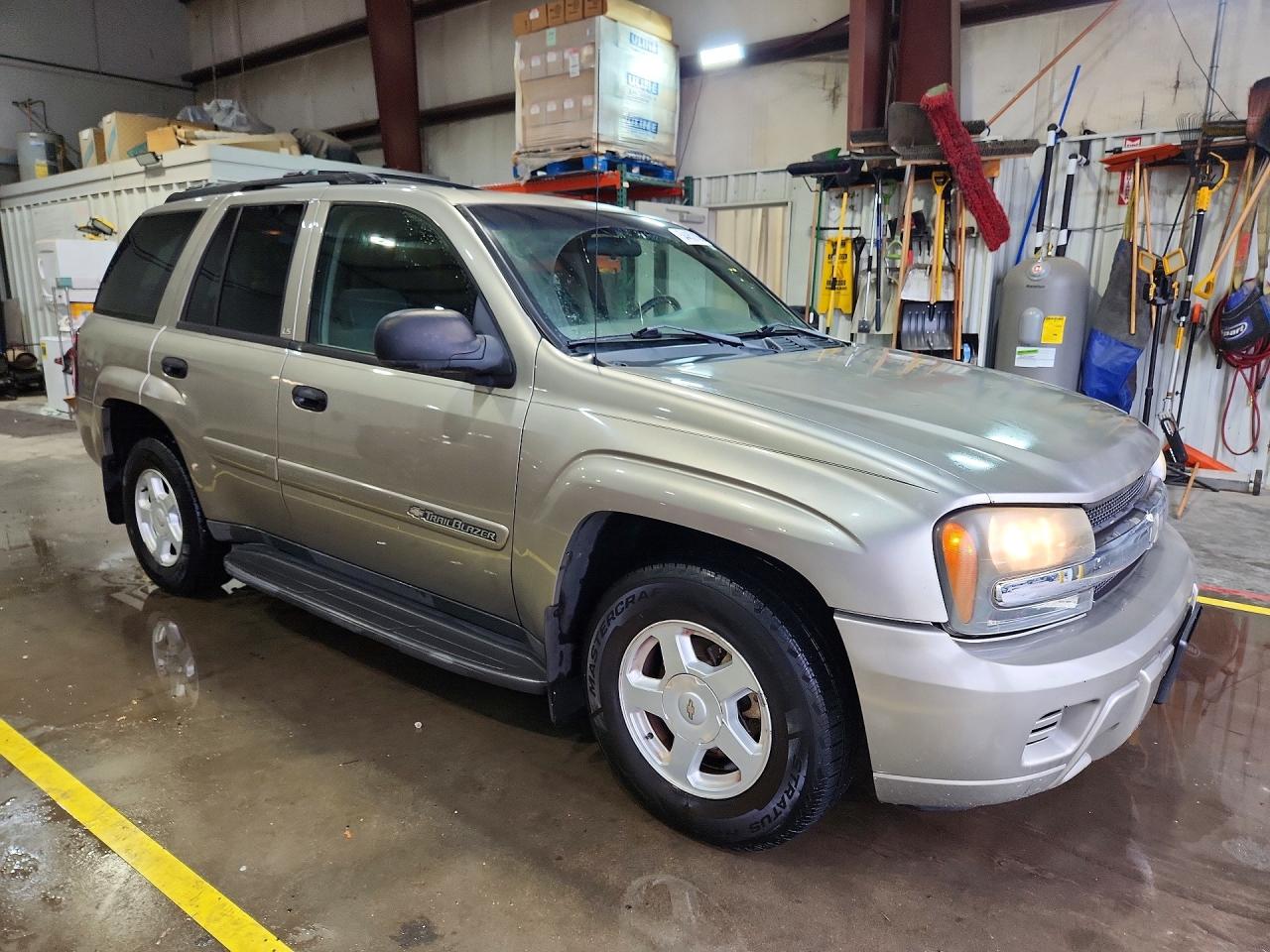 2002 Chevrolet Trailblazer Silver vin: 1GNDT13S922155124