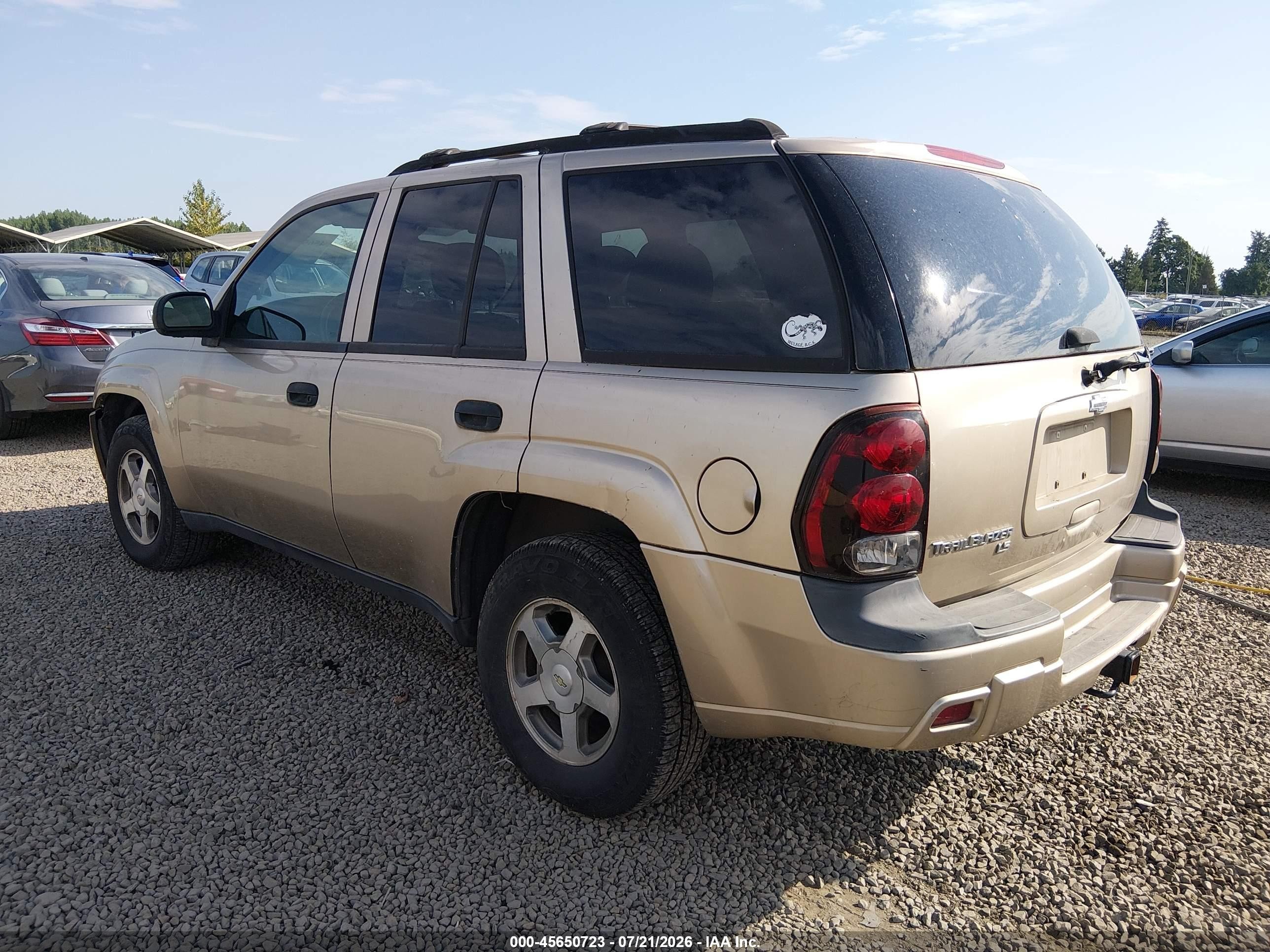 2006 Chevrolet Trailblazer Ls Gold vin: 1GNDT13S962103577