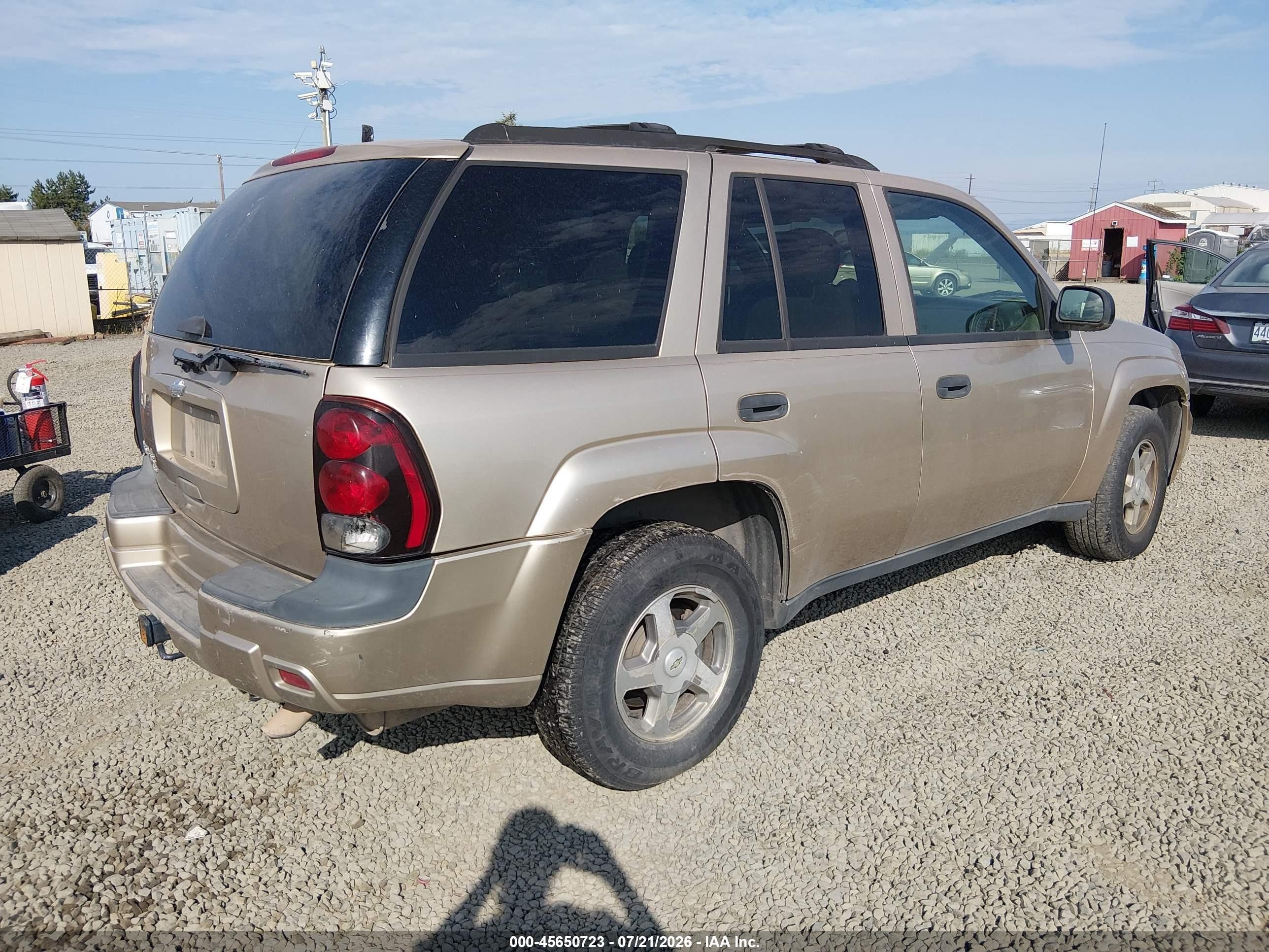 2006 Chevrolet Trailblazer Ls Gold vin: 1GNDT13S962103577