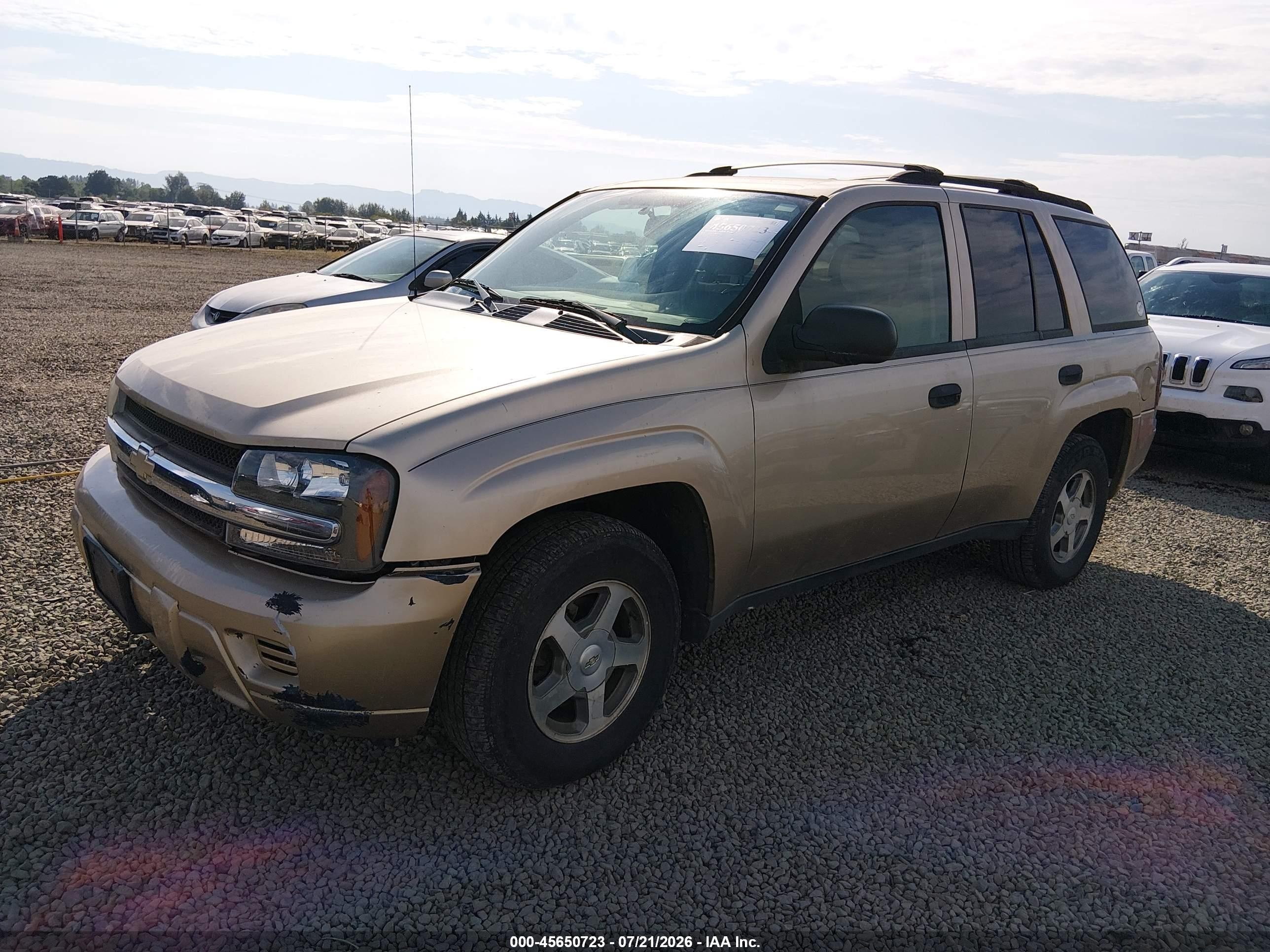2006 Chevrolet Trailblazer Ls Gold vin: 1GNDT13S962103577