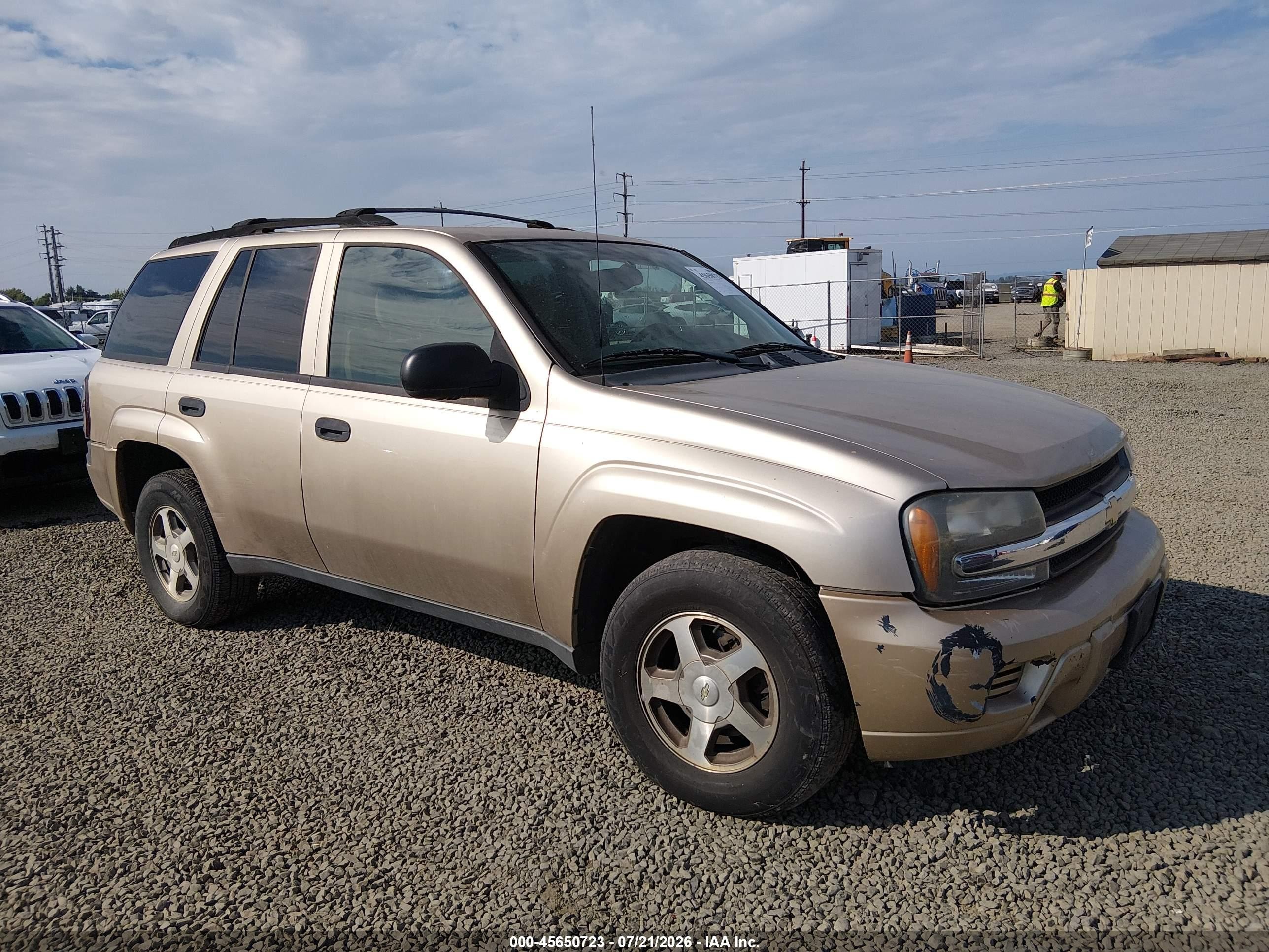 2006 Chevrolet Trailblazer Ls Gold vin: 1GNDT13S962103577