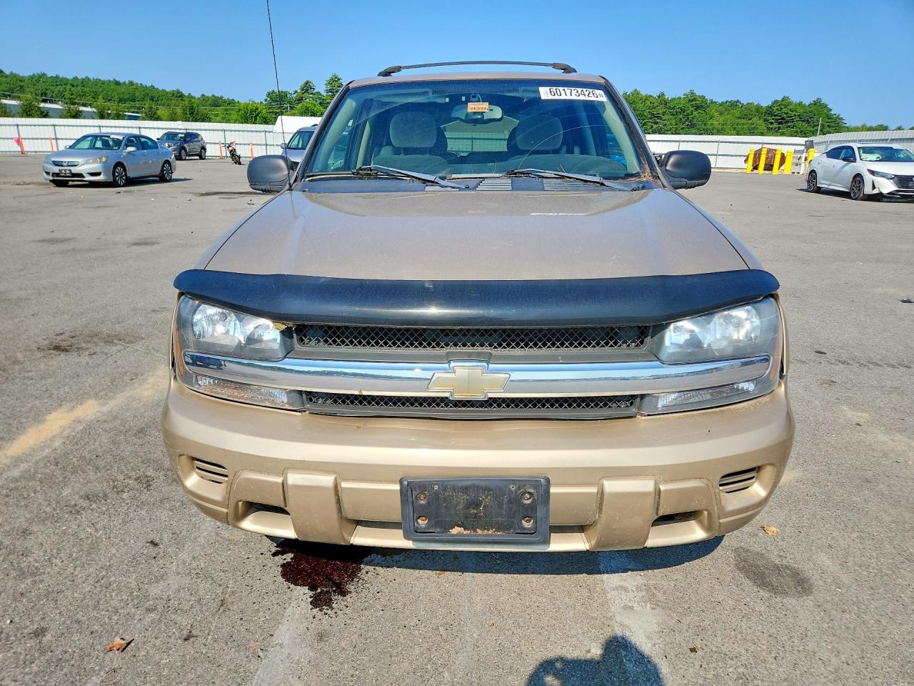 2006 Chevrolet Trailblazer Ls Gold vin: 1GNDT13SX62278792