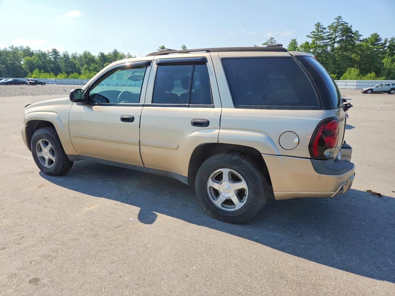 2006 Chevrolet Trailblazer Ls Gold vin: 1GNDT13SX62278792