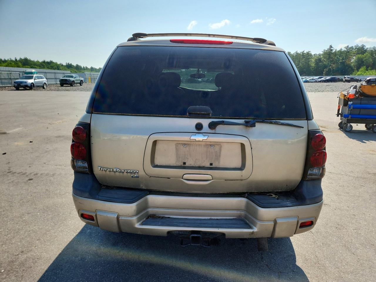 2006 Chevrolet Trailblazer Ls Gold vin: 1GNDT13SX62278792