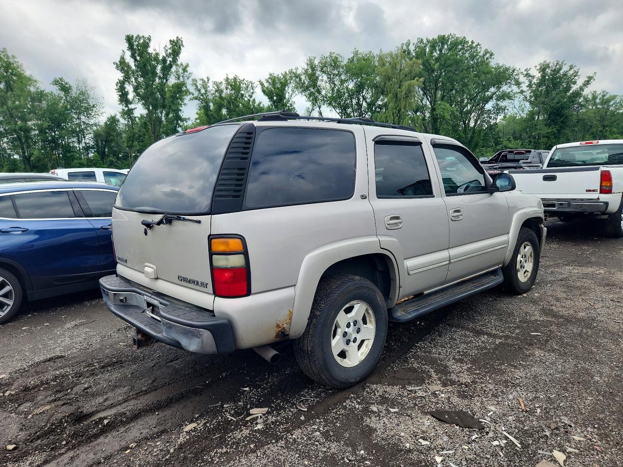 2004 Chevrolet Tahoe K1500 Tan vin: 1GNEK13T34J181517