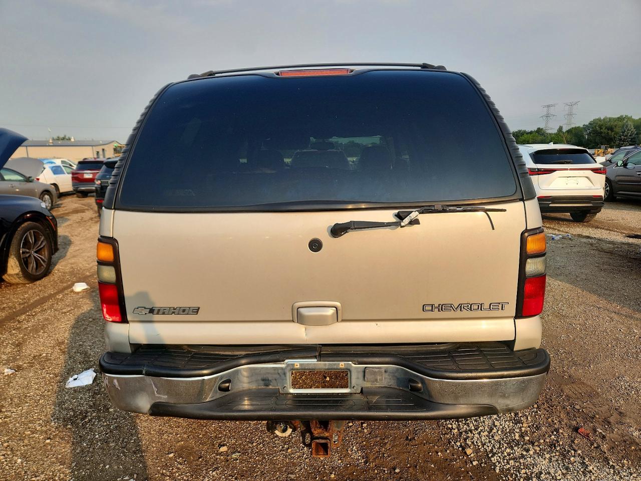 2004 Chevrolet Tahoe K1500 Beige vin: 1GNEK13Z54J135658
