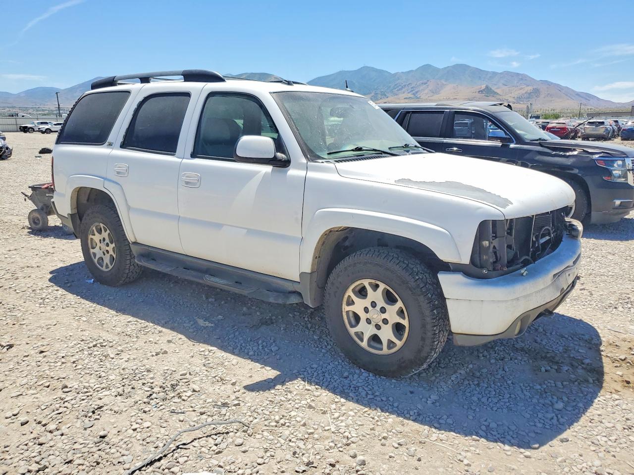 2004 Chevrolet Tahoe K1500 White vin: 1GNEK13Z64R197331
