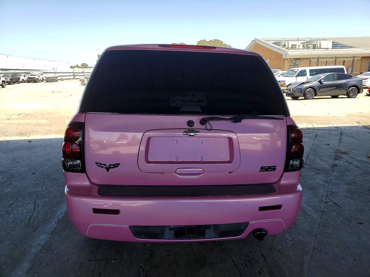2006 Chevrolet Trailblazer Ss Розовый vin: 1GNES13HX62295085