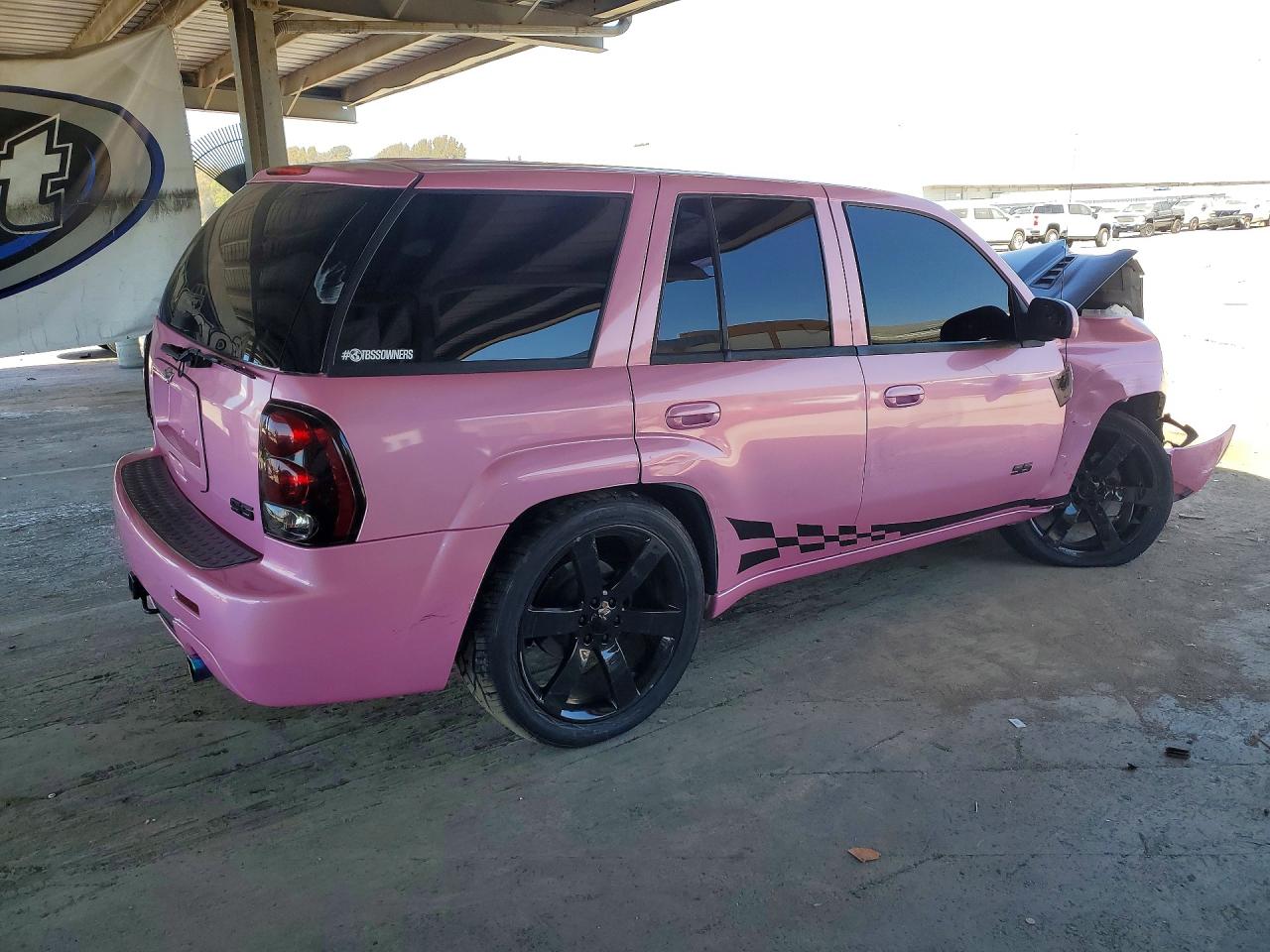 2006 Chevrolet Trailblazer Ss Розовый vin: 1GNES13HX62295085