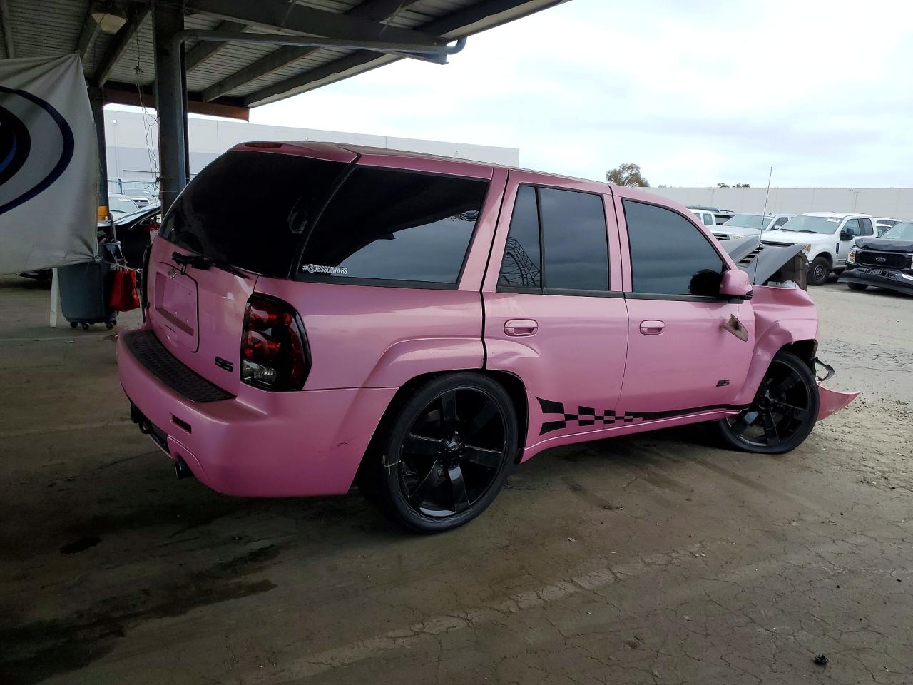 2006 Chevrolet Trailblazer Ss Розовый vin: 1GNES13HX62295085
