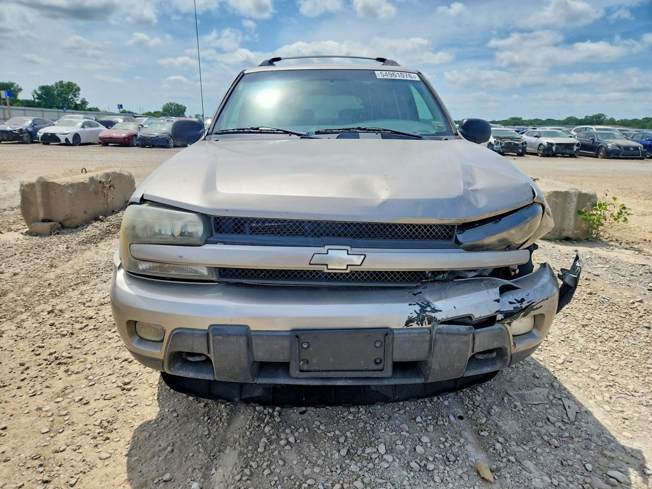 2003 Chevrolet Trailblazer Ext Серый vin: 1GNET16S336101800