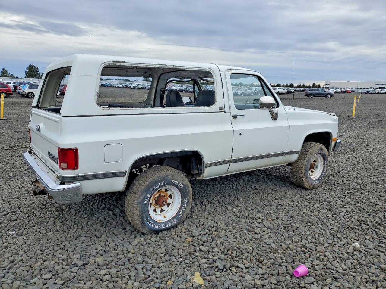 1989 Chevrolet Blazer V10 White vin: 1GNEV18K9KF180072