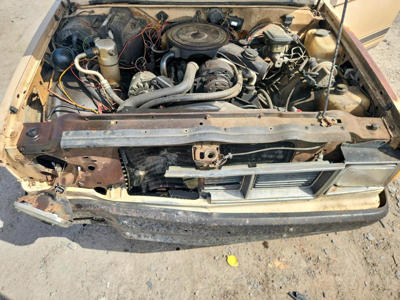 1983 Gmc S Truck S15 Cream vin: 1GTCS14B1D2513776