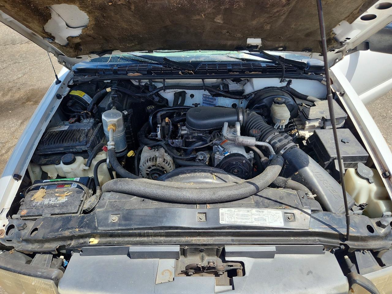 1999 Gmc Sonoma White vin: 1GTCS14X6X8502592