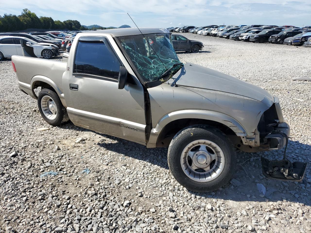 1999 Gmc Sonoma Gold vin: 1GTCS14X7XK518996