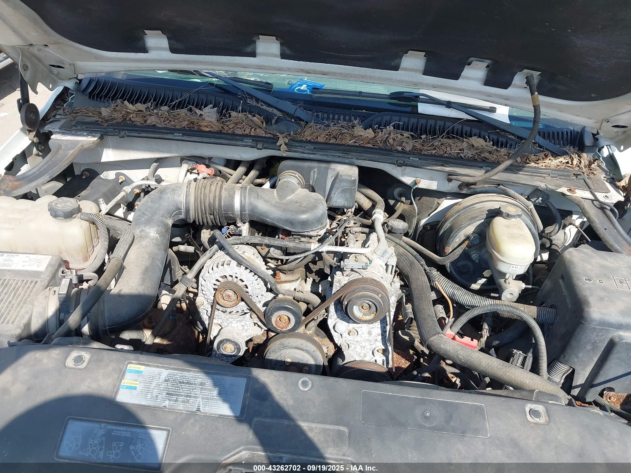 2005 Gmc Sierra 1500 Work Truck Белый vin: 1GTEC14X05Z218355