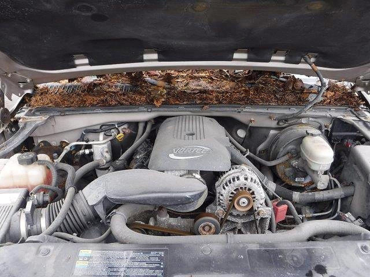 2006 Gmc New Sierra K1500 Tan vin: 1GTEK19B66Z196640