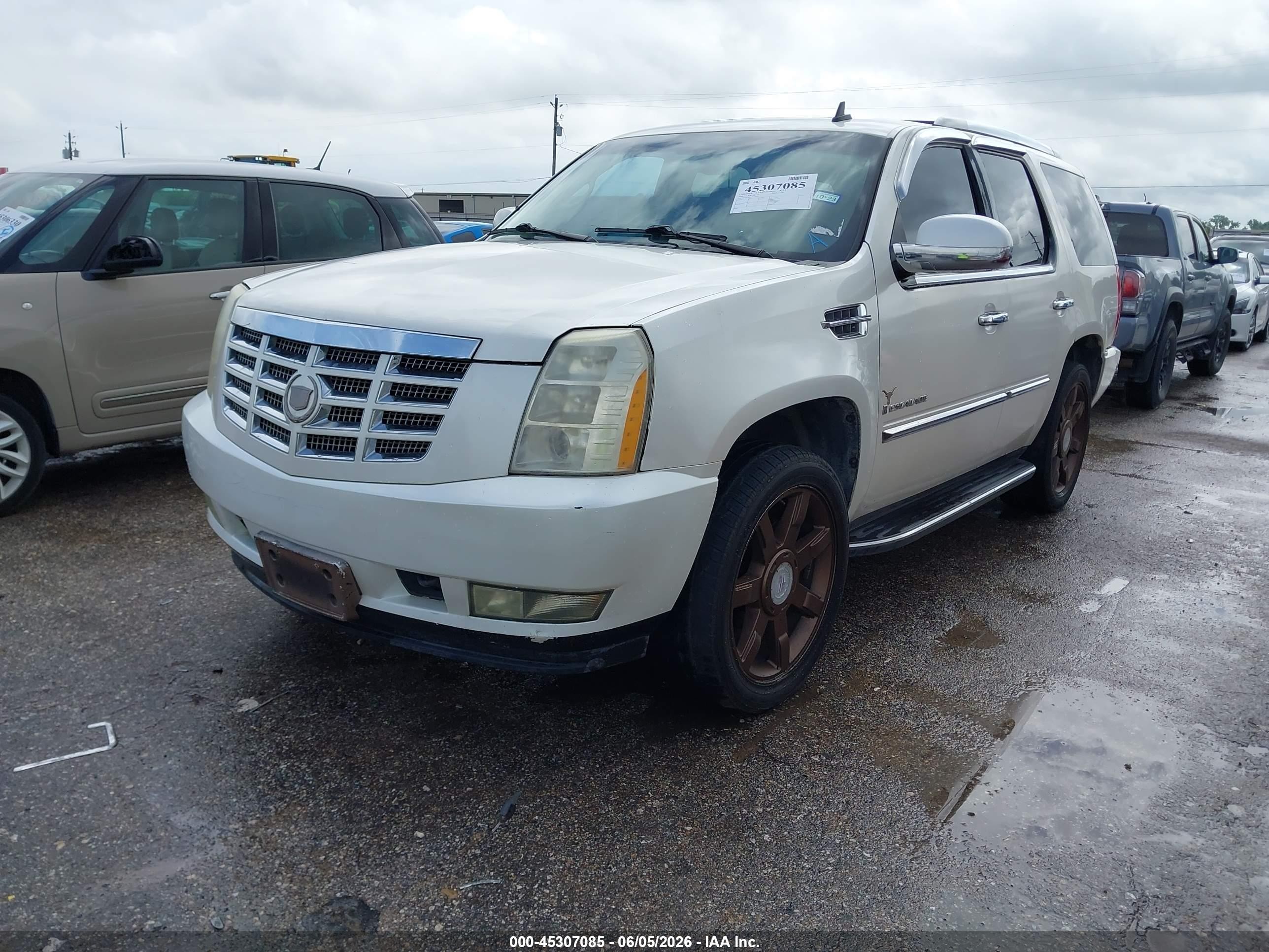 2008 Cadillac Escalade Standard Кремовый vin: 1GYEC63898R235645