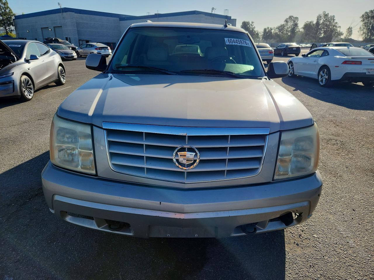 2006 Cadillac Escalade Luxury Tan vin: 1GYEC63N76R116687