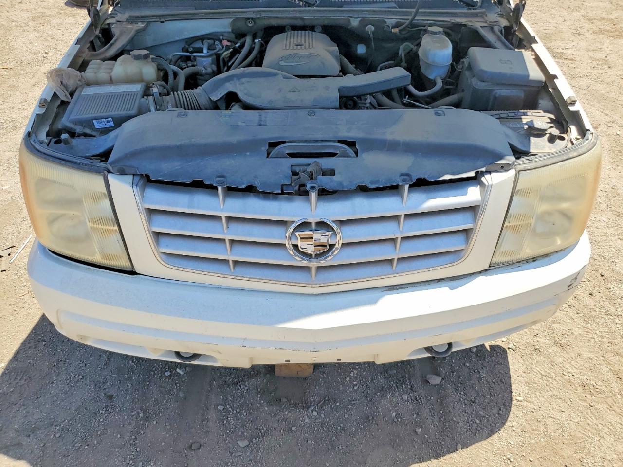 2005 Cadillac Escalade Luxury Белый vin: 1GYEC63T75R194366