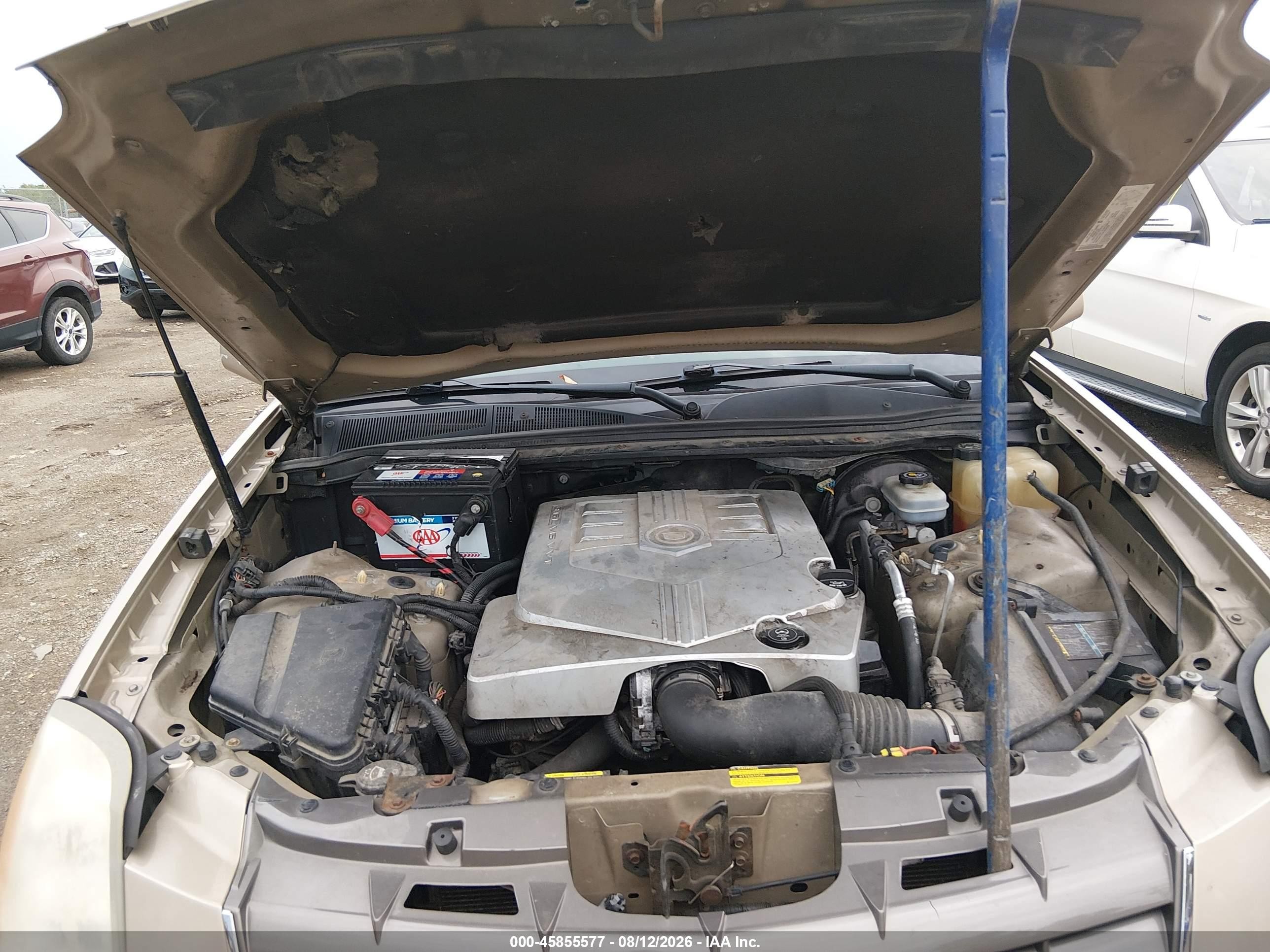 2005 Cadillac Srx V6 Tan vin: 1GYEE637750228288