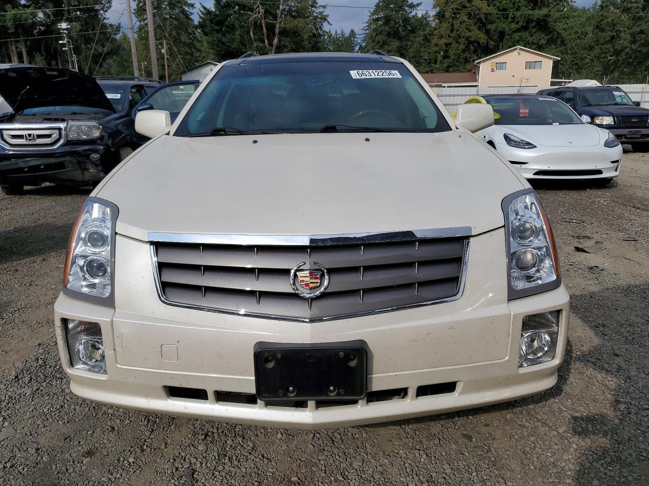 2005 Cadillac Srx Белый vin: 1GYEE63A650170993