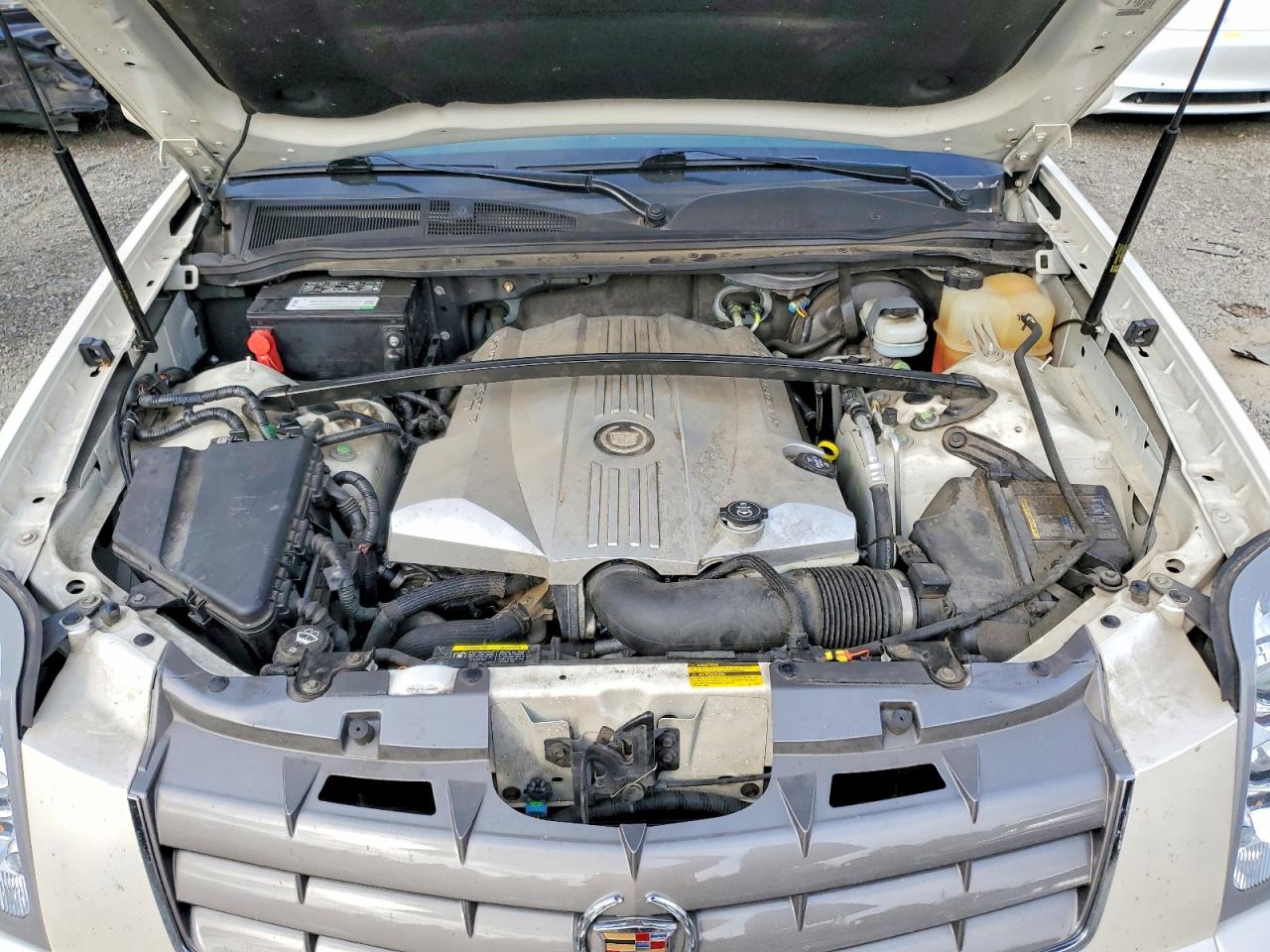 2005 Cadillac Srx Белый vin: 1GYEE63A650170993