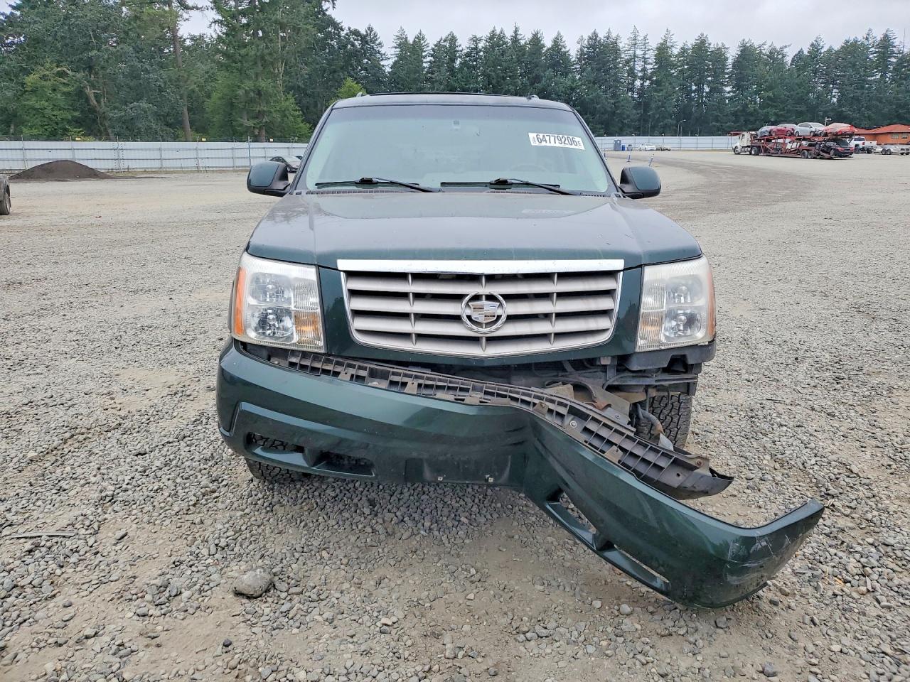 2002 Cadillac Escalade Luxury Green vin: 1GYEK63N12R162142