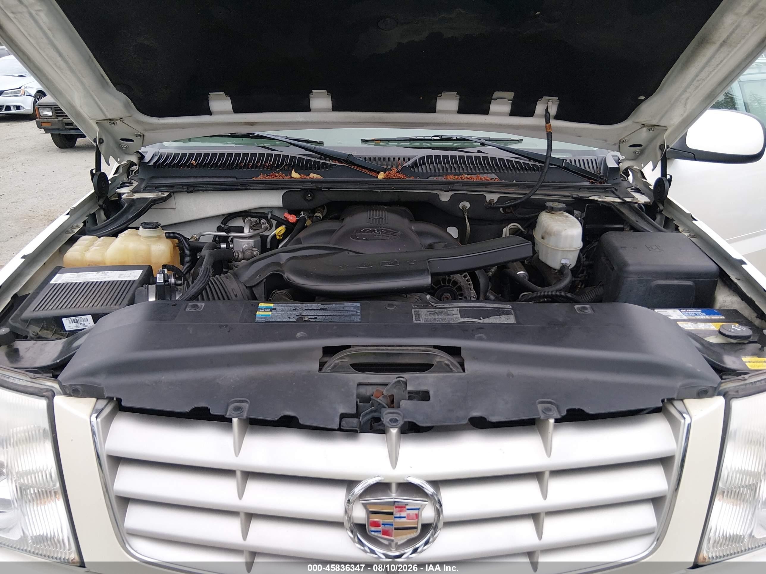 2004 Cadillac Escalade Standard White vin: 1GYEK63N64R241597