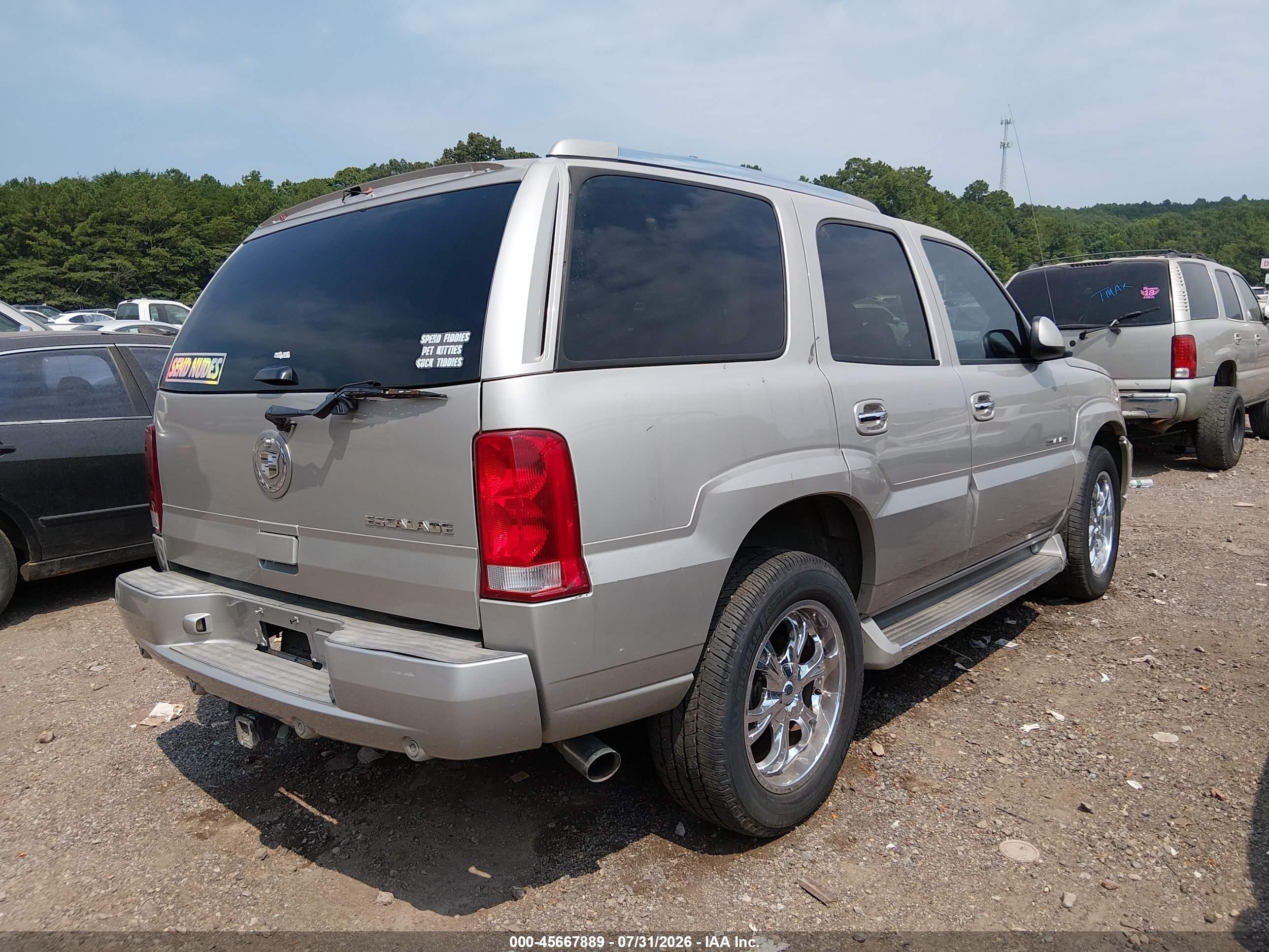 2005 Cadillac Escalade Standard Beige vin: 1GYEK63N95R134500