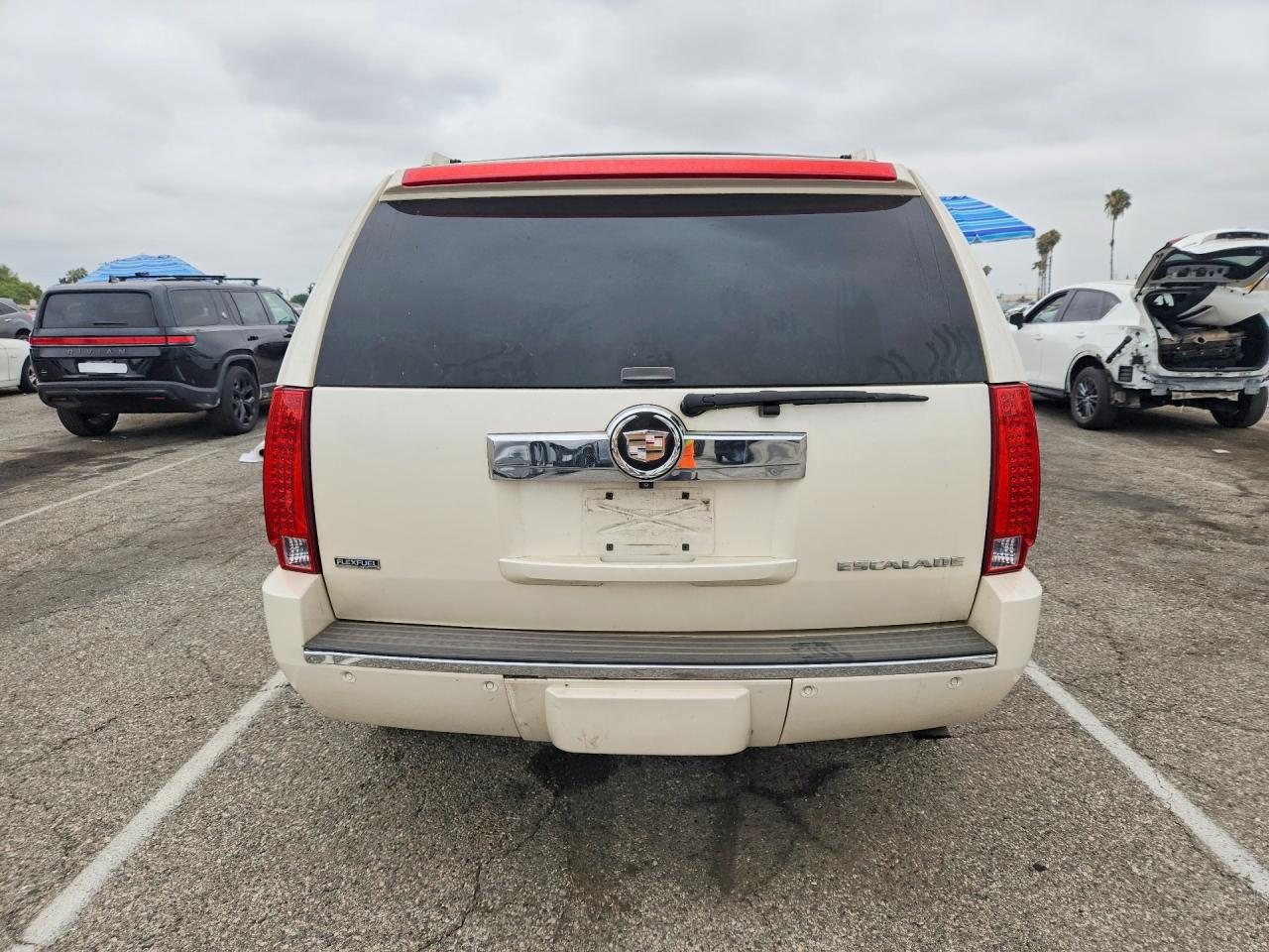2009 Cadillac Escalade Cream vin: 1GYFC13239R222281