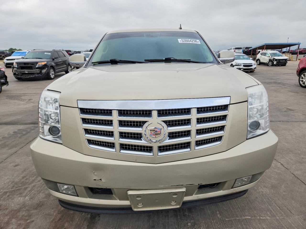 2009 Cadillac Escalade Tan vin: 1GYFC13299R269055