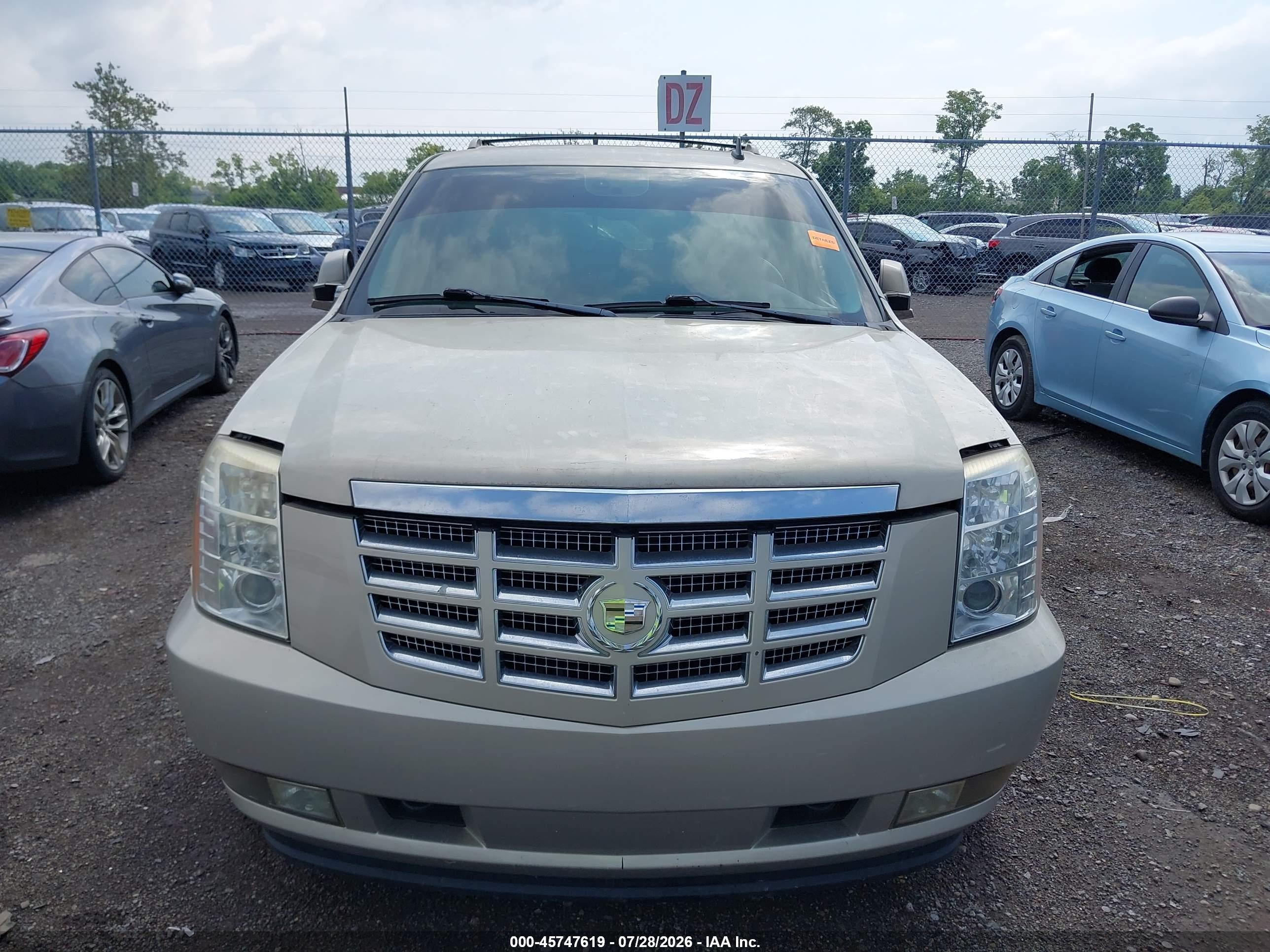 2009 Cadillac Escalade Standard Beige vin: 1GYFK23289R205338