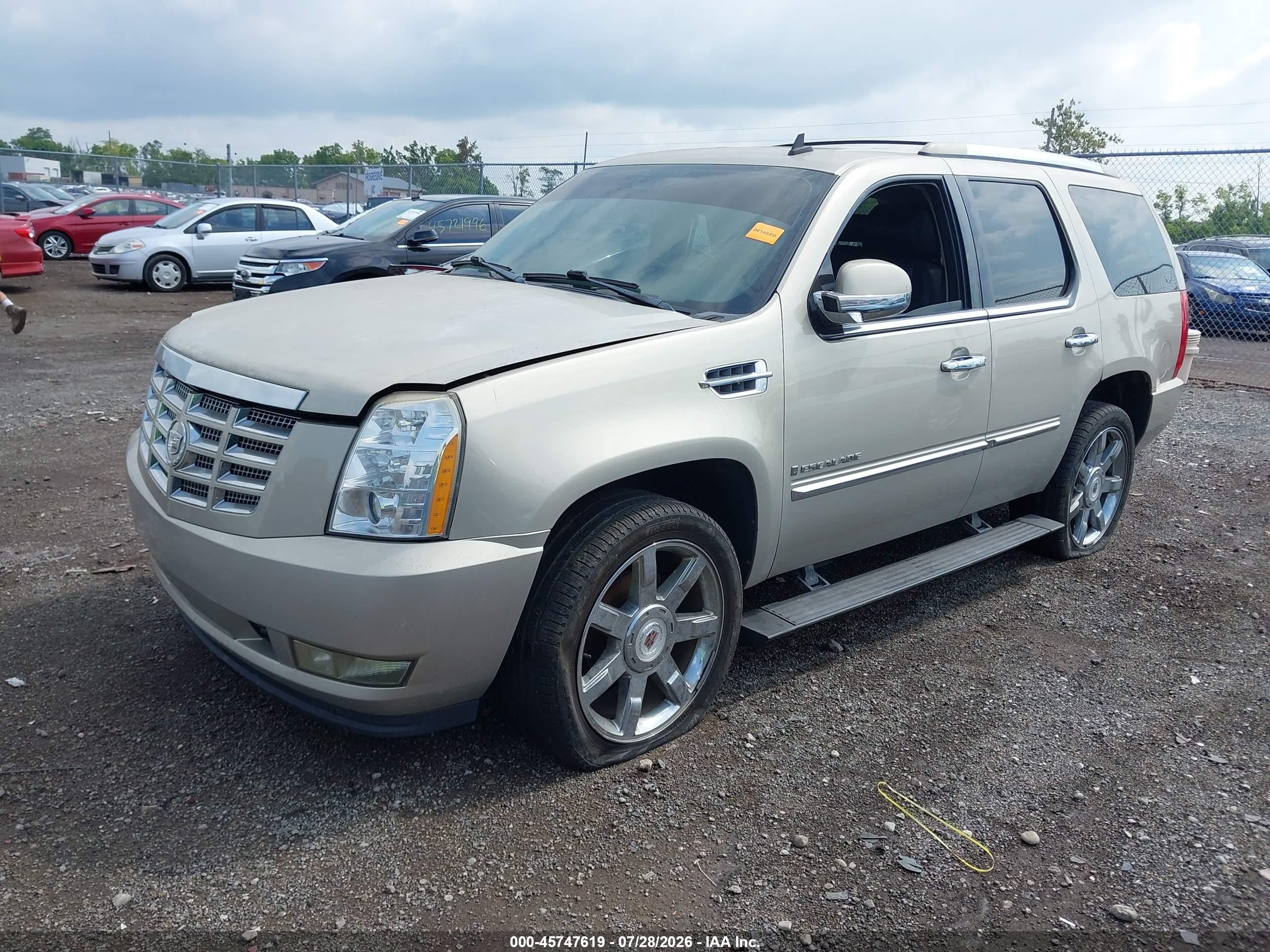 2009 Cadillac Escalade Standard Beige vin: 1GYFK23289R205338