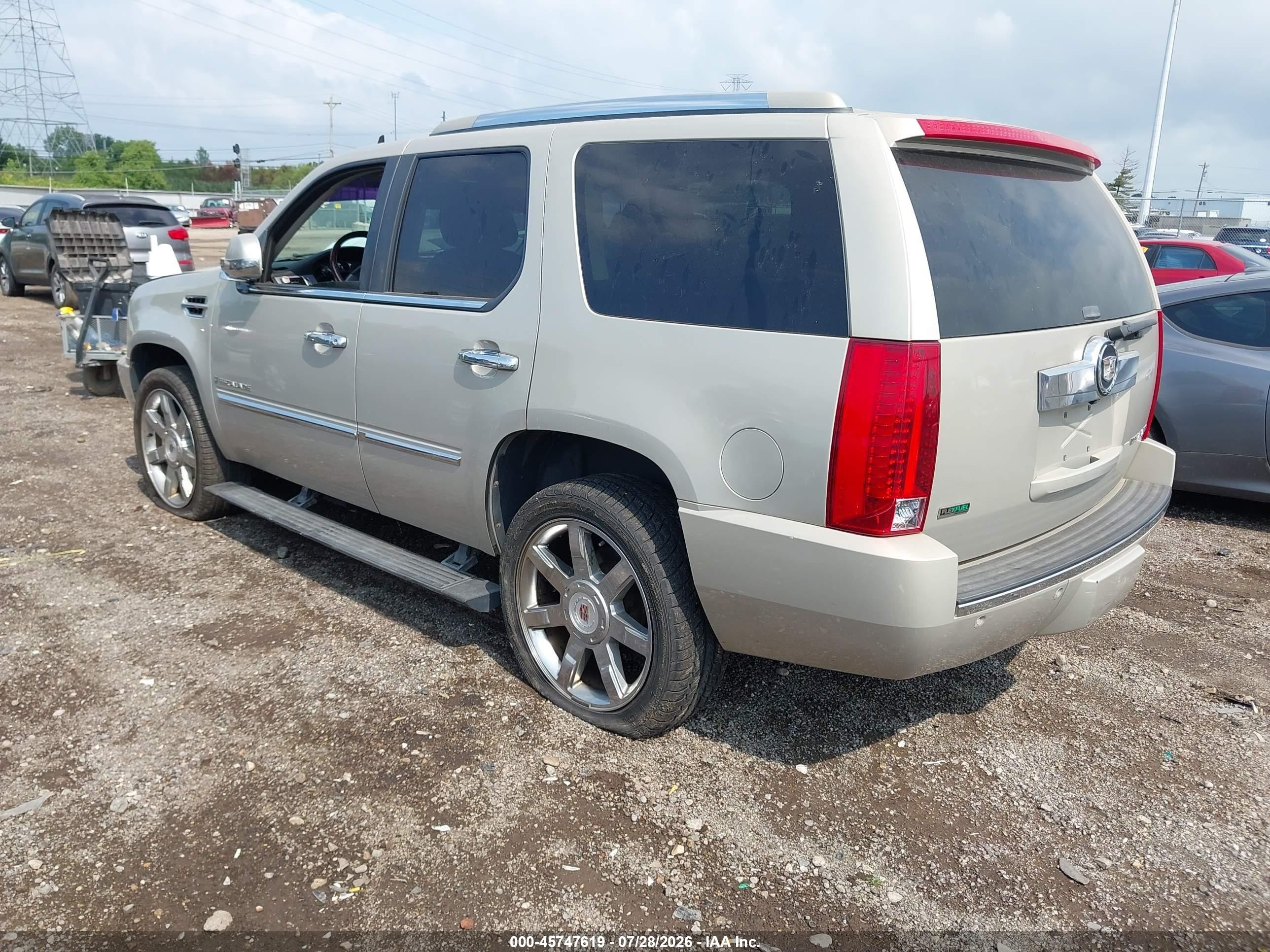 2009 Cadillac Escalade Standard Beige vin: 1GYFK23289R205338