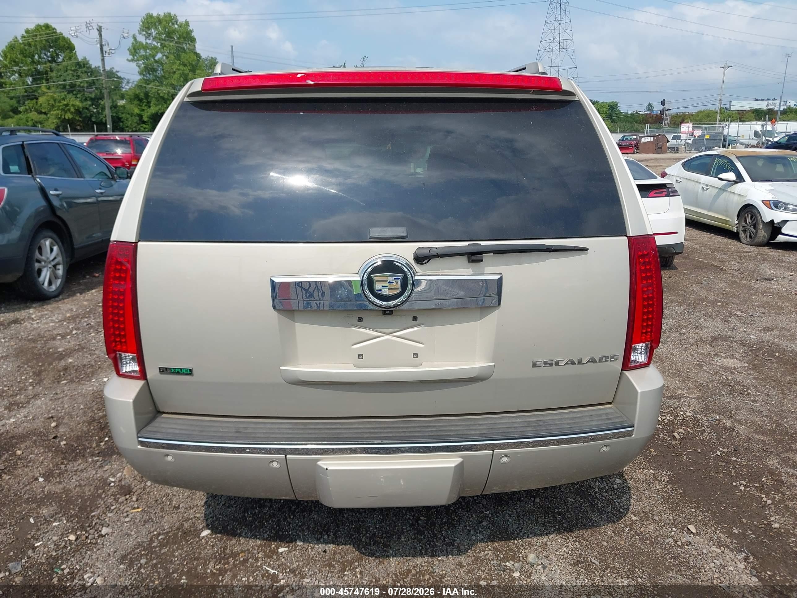 2009 Cadillac Escalade Standard Beige vin: 1GYFK23289R205338