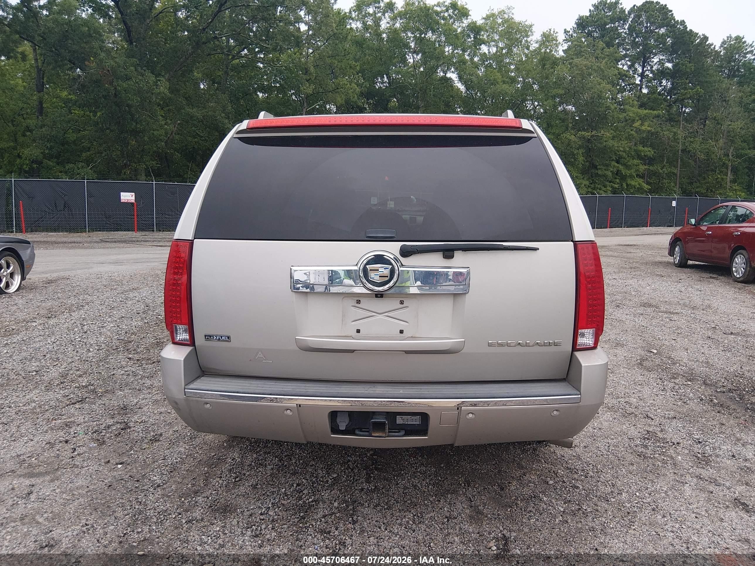 2009 Cadillac Escalade Esv Standard Бежевый vin: 1GYFK26289R106532