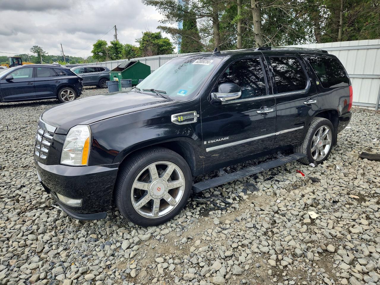 2009 Cadillac Escalade Hybrid Black vin: 1GYFK43539R179706