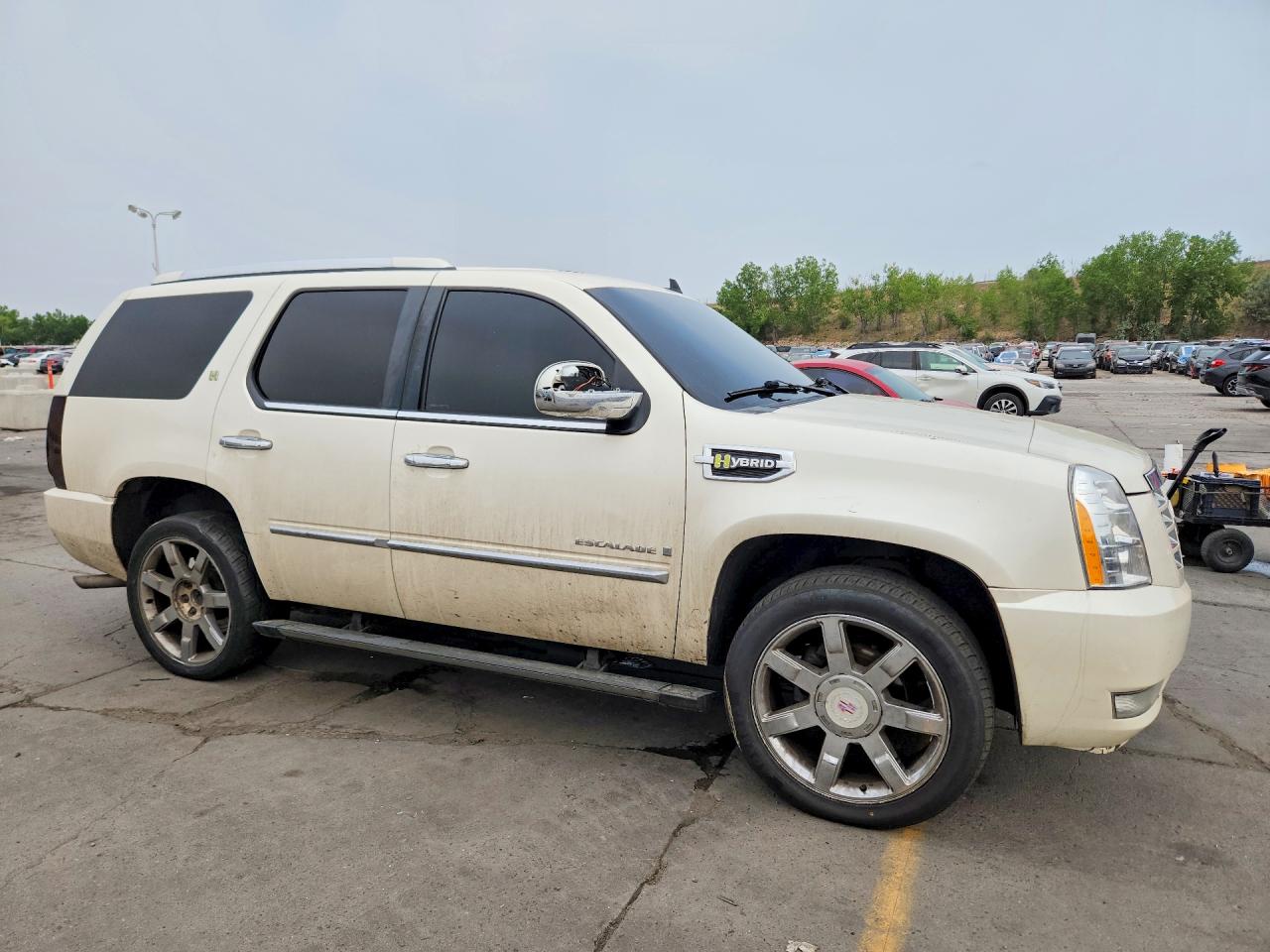2009 Cadillac Escalade Hybrid Beige vin: 1GYFK43559R122746
