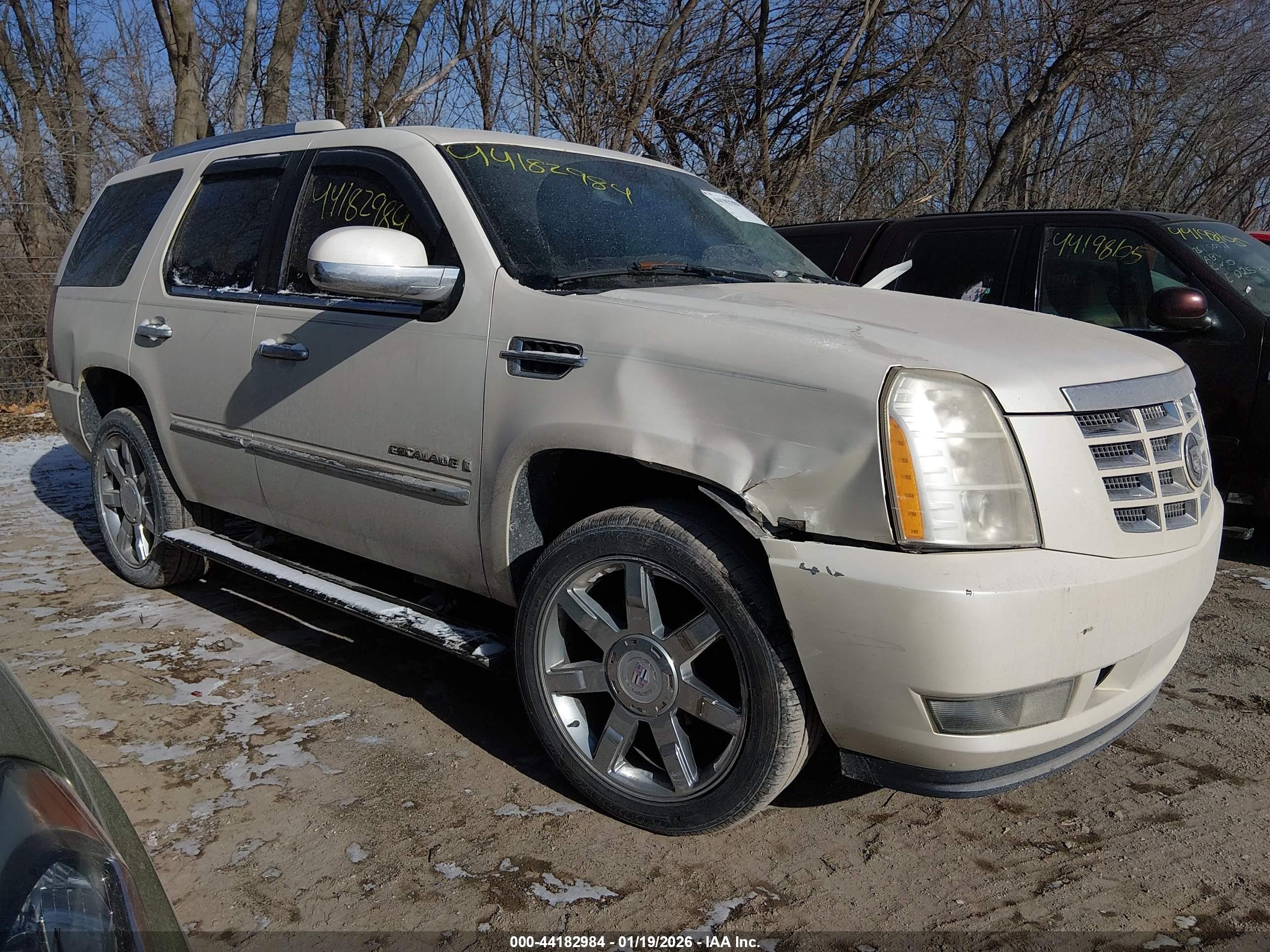 2007 Cadillac Escalade Standard Белый vin: 1GYFK63867R332162