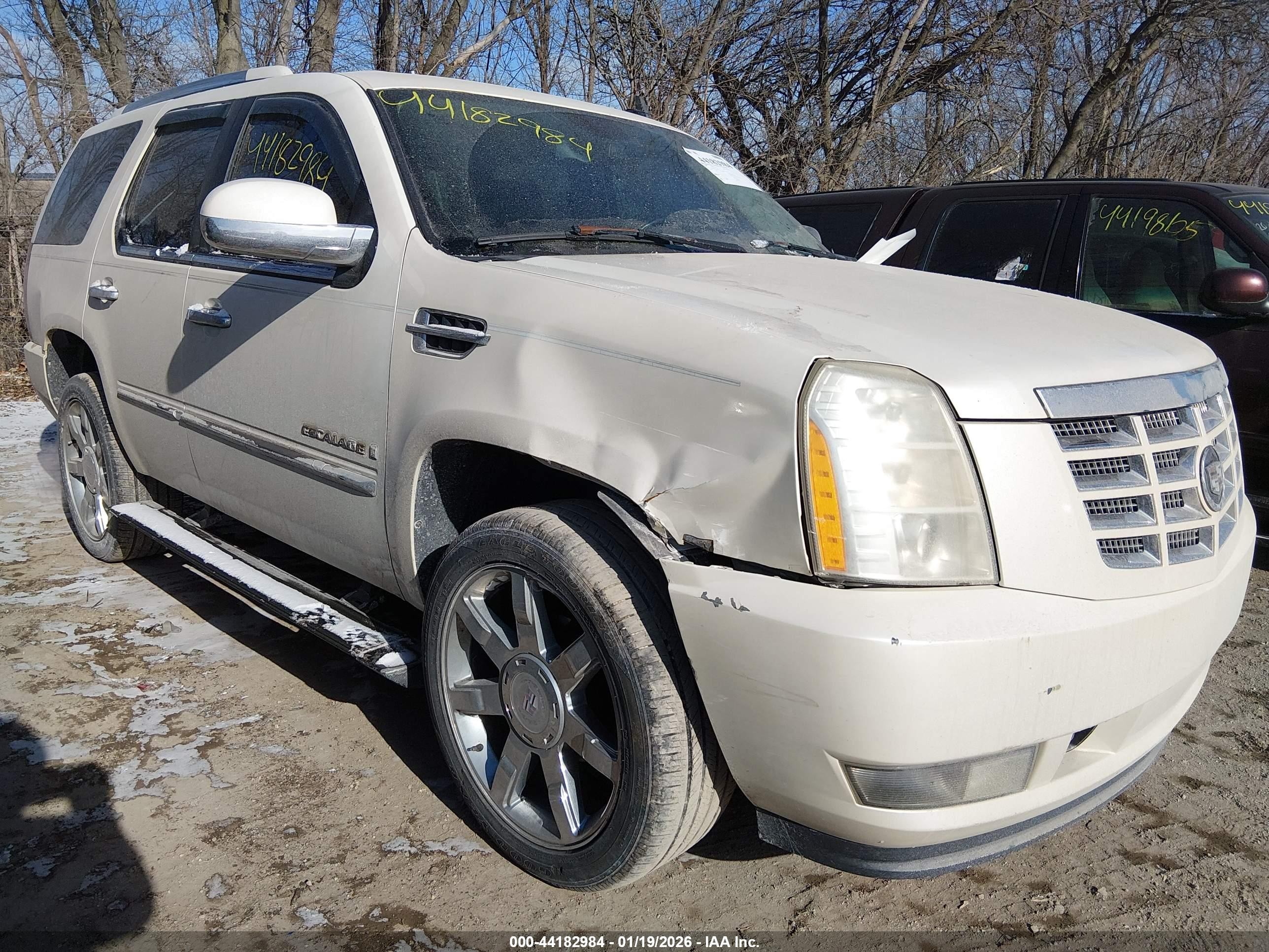 2007 Cadillac Escalade Standard Белый vin: 1GYFK63867R332162