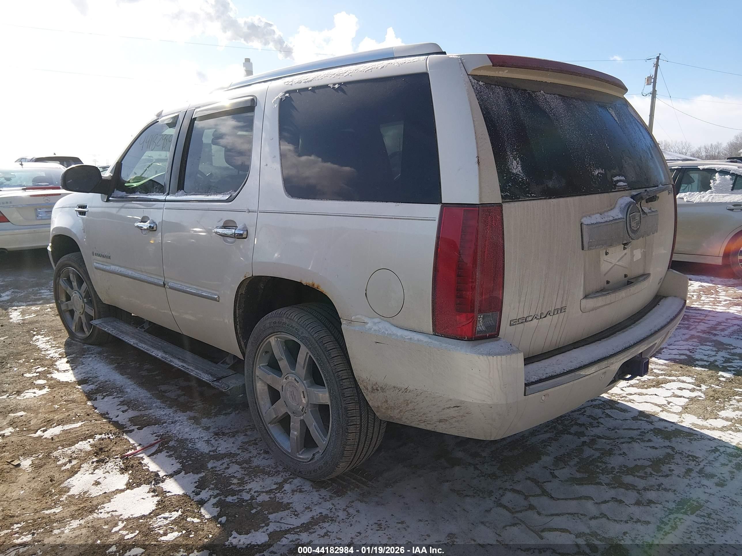 2007 Cadillac Escalade Standard Белый vin: 1GYFK63867R332162