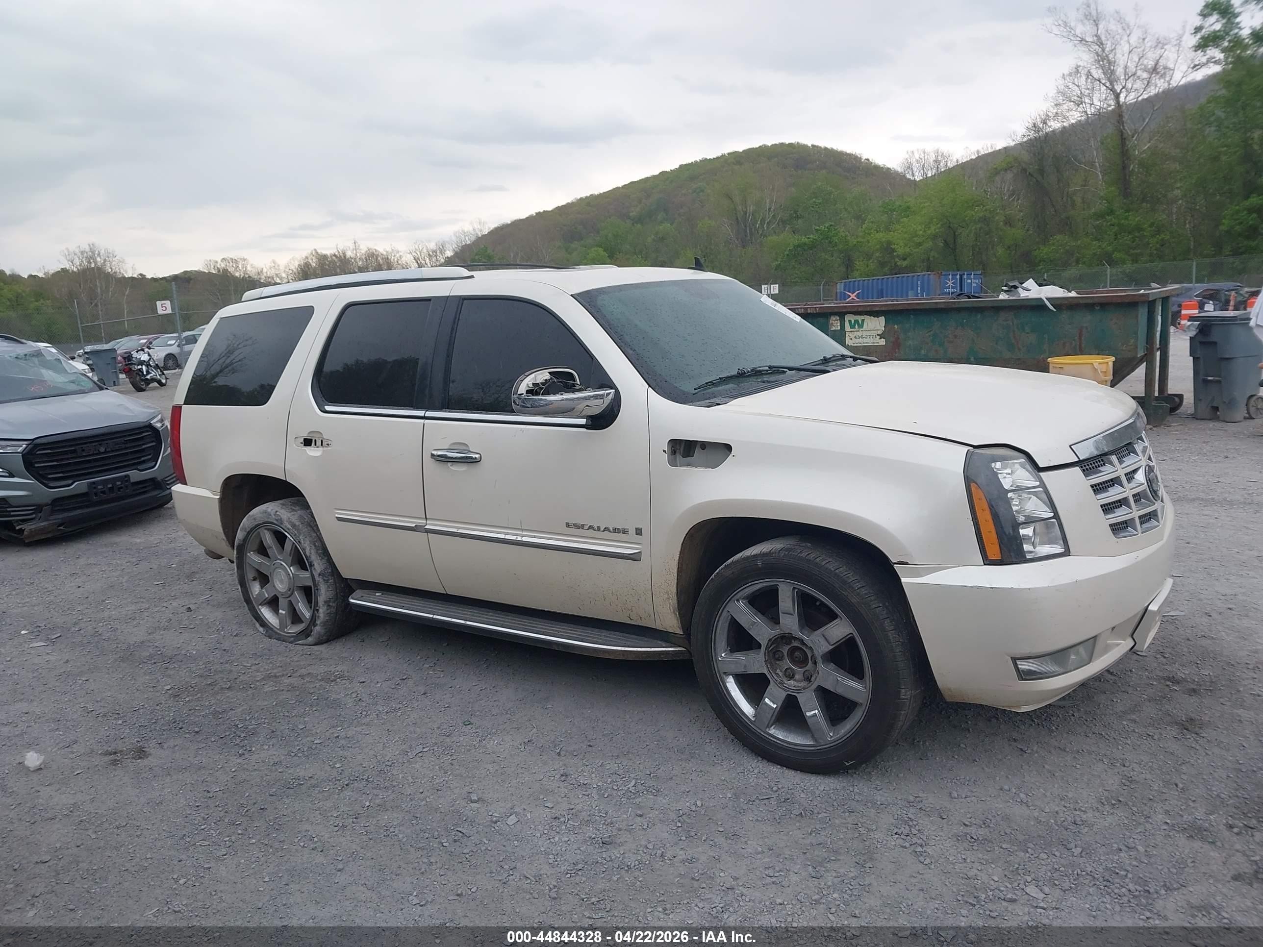 2007 Cadillac Escalade Standard Cream vin: 1GYFK63887R123151