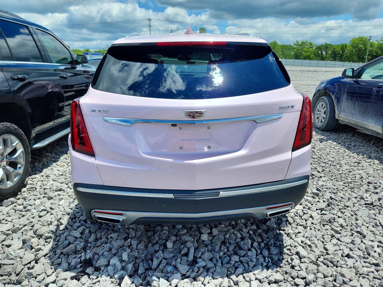 2025 Cadillac Xt5 Premium Luxury Pink vin: 1GYKNCR44SZ116604
