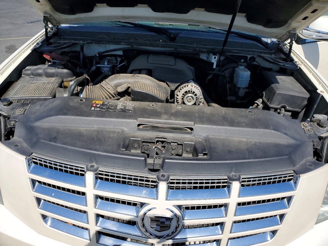 2011 Cadillac Escalade Cream vin: 1GYS3AEF1BR326157