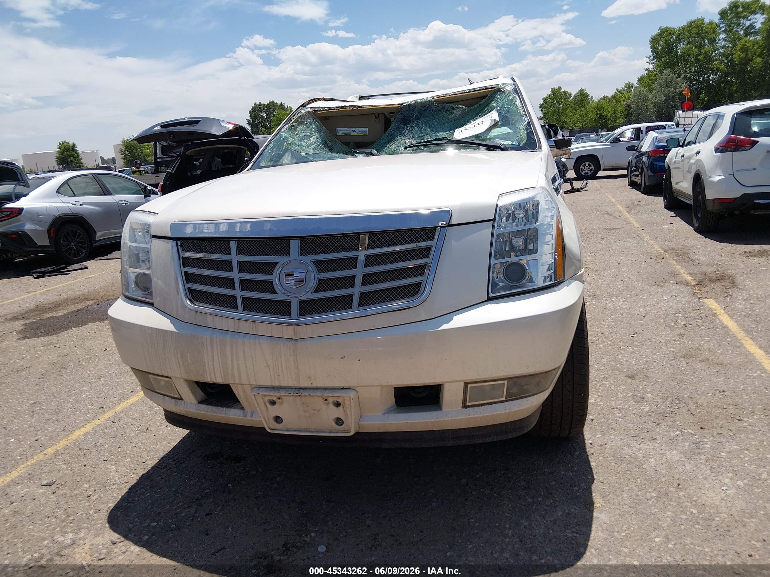 2011 Cadillac Escalade Luxury Белый vin: 1GYS3BEF2BR111635