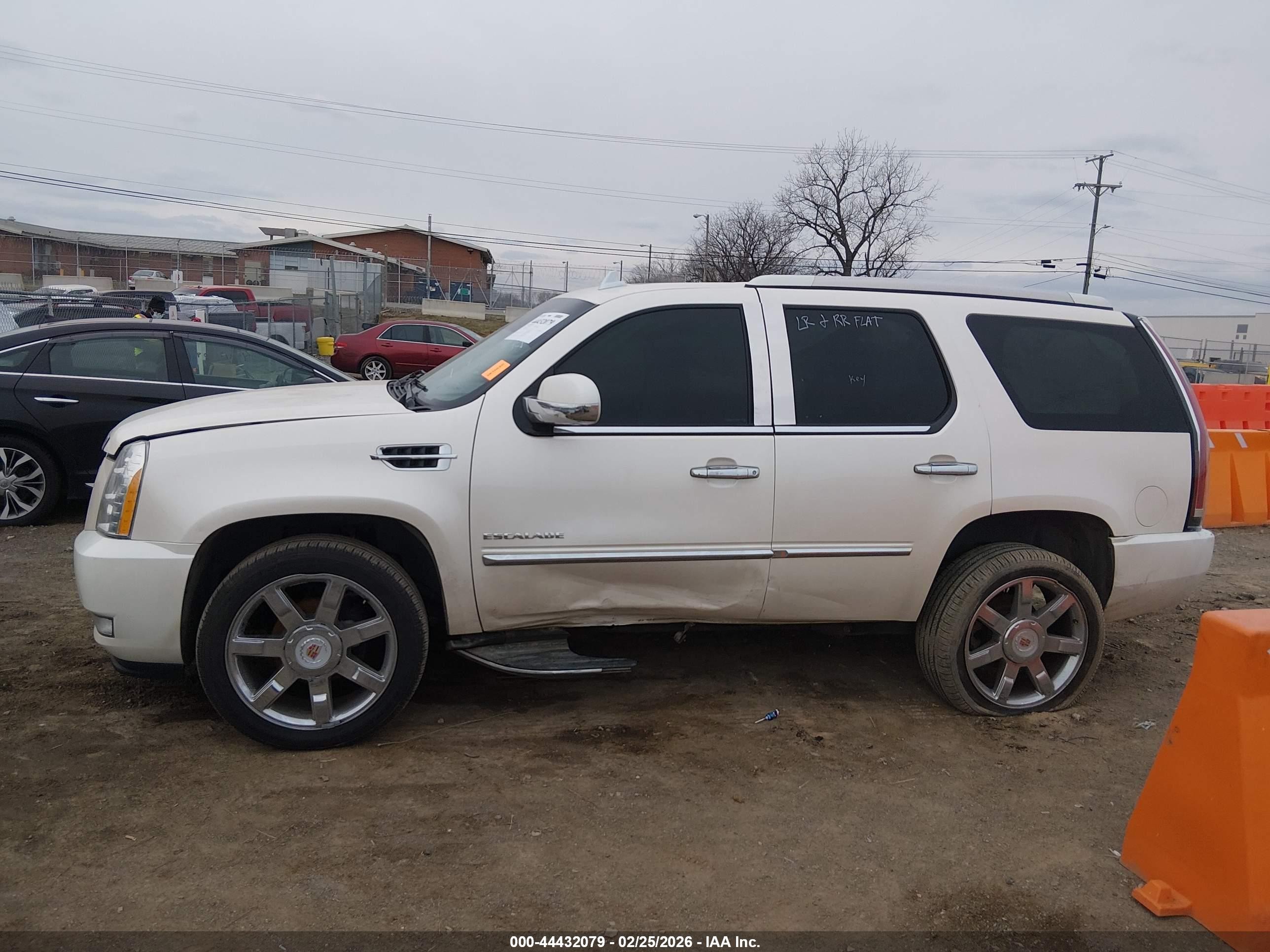 2013 Cadillac Escalade Luxury Белый vin: 1GYS3BEF8DR151334