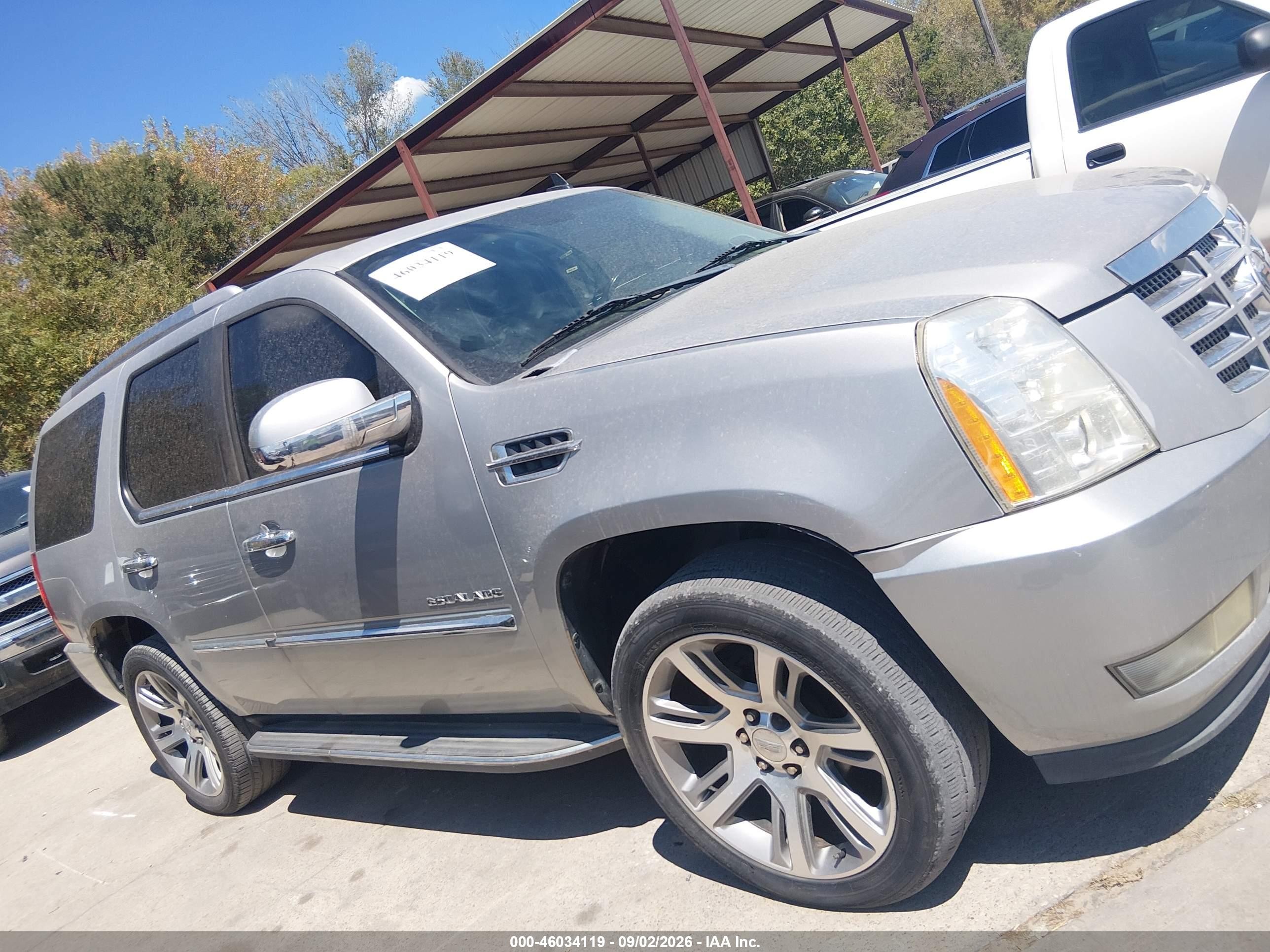 2011 Cadillac Escalade Standard Beige vin: 1GYS4AEF3BR234674