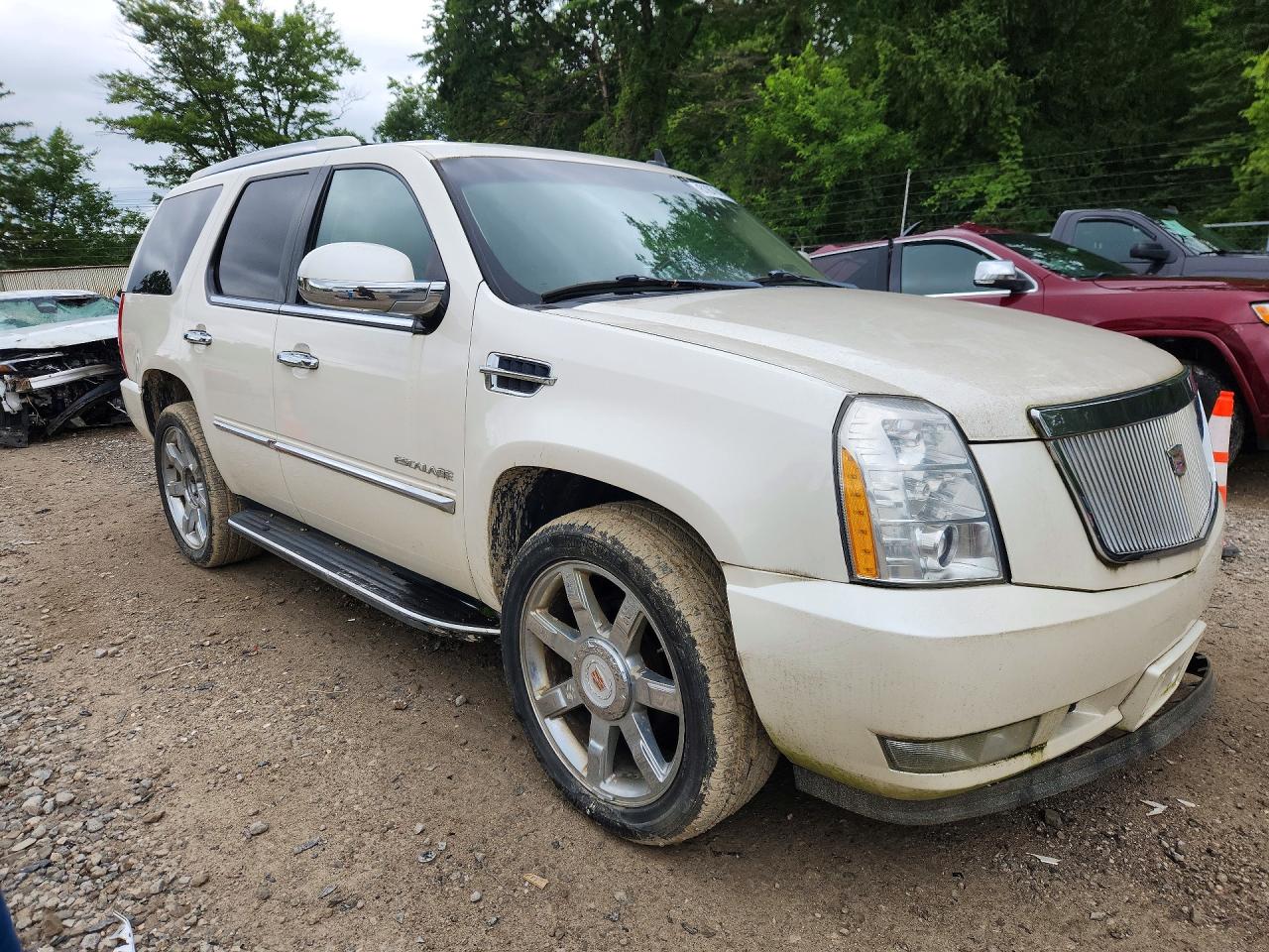 2011 Cadillac Escalade Luxury Белый vin: 1GYS4BEF1BR219726