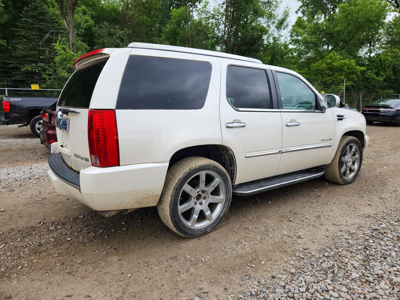 2011 Cadillac Escalade Luxury Белый vin: 1GYS4BEF1BR219726